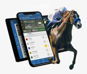 Beyond Bank Cards: The Smartest Payment Solutions for Online Betting in the UAE